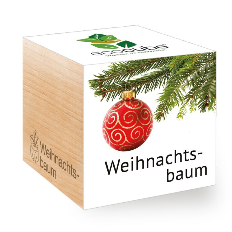 Ecocube Pflanze im Holzwürfel "Weihnachtsbaum" online kaufen