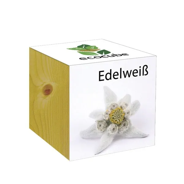 Ecocube Pflanze im Holzwürfel "Edelweiß"