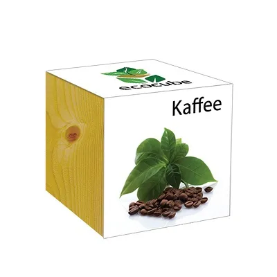 Ecocube Pflanze im Holzwürfel "Kaffee"