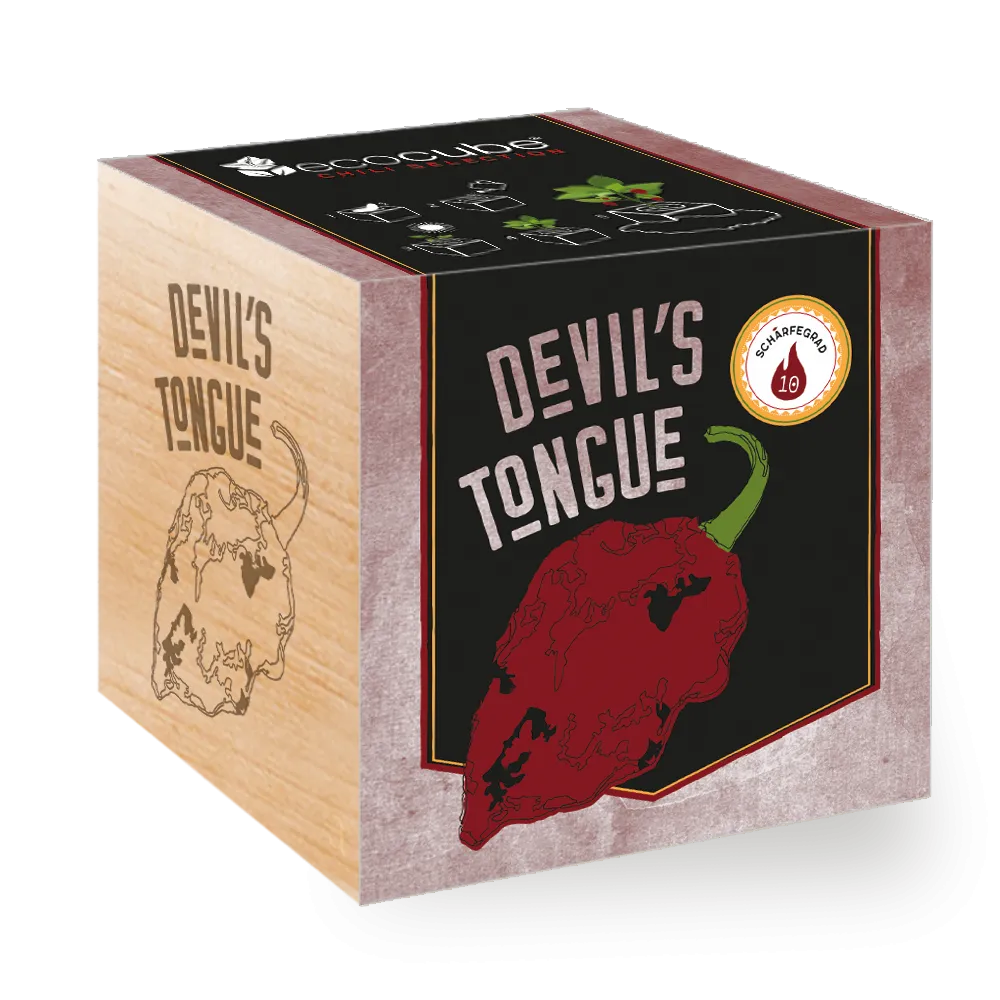 Ecocube Pflanze im Holzwürfel "Devils Tongue"