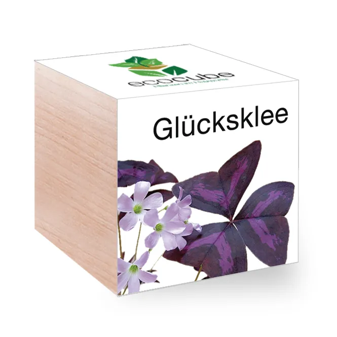 Ecocube Pflanze im Holzwürfel "Glücksklee"