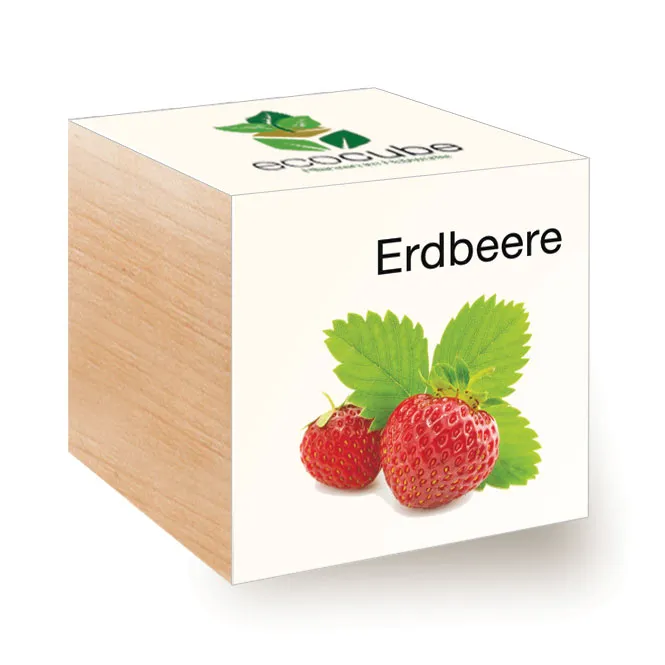 Ecocube Pflanze im Holzwürfel "Erdbeere"