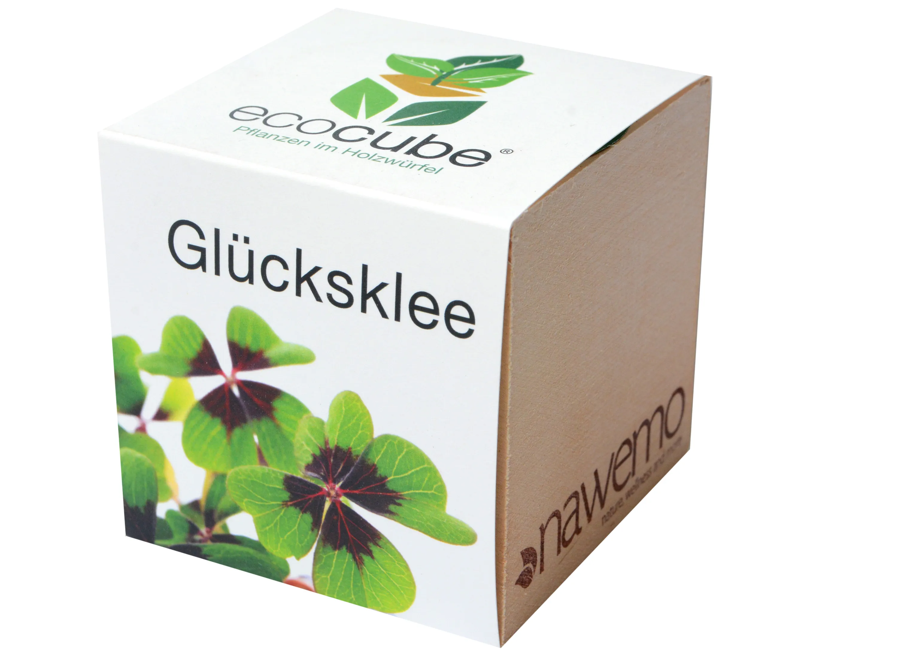 Ecocube Pflanze im Holzwürfel "Grüner Glücksklee"