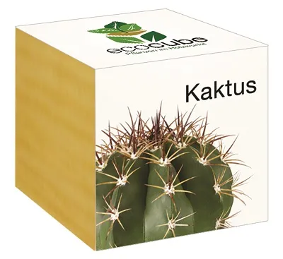 Ecocube Pflanze im Holzwürfel "Kaktus"