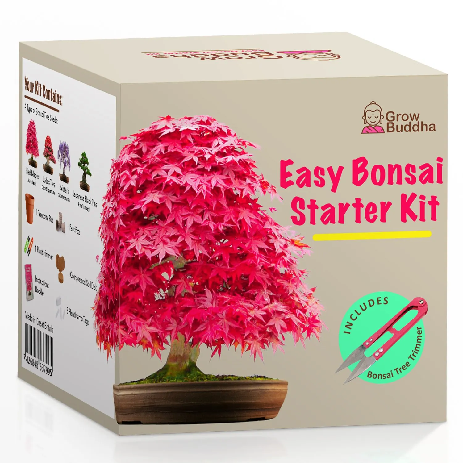 Bonsai Aufzucht - Starter Kit
