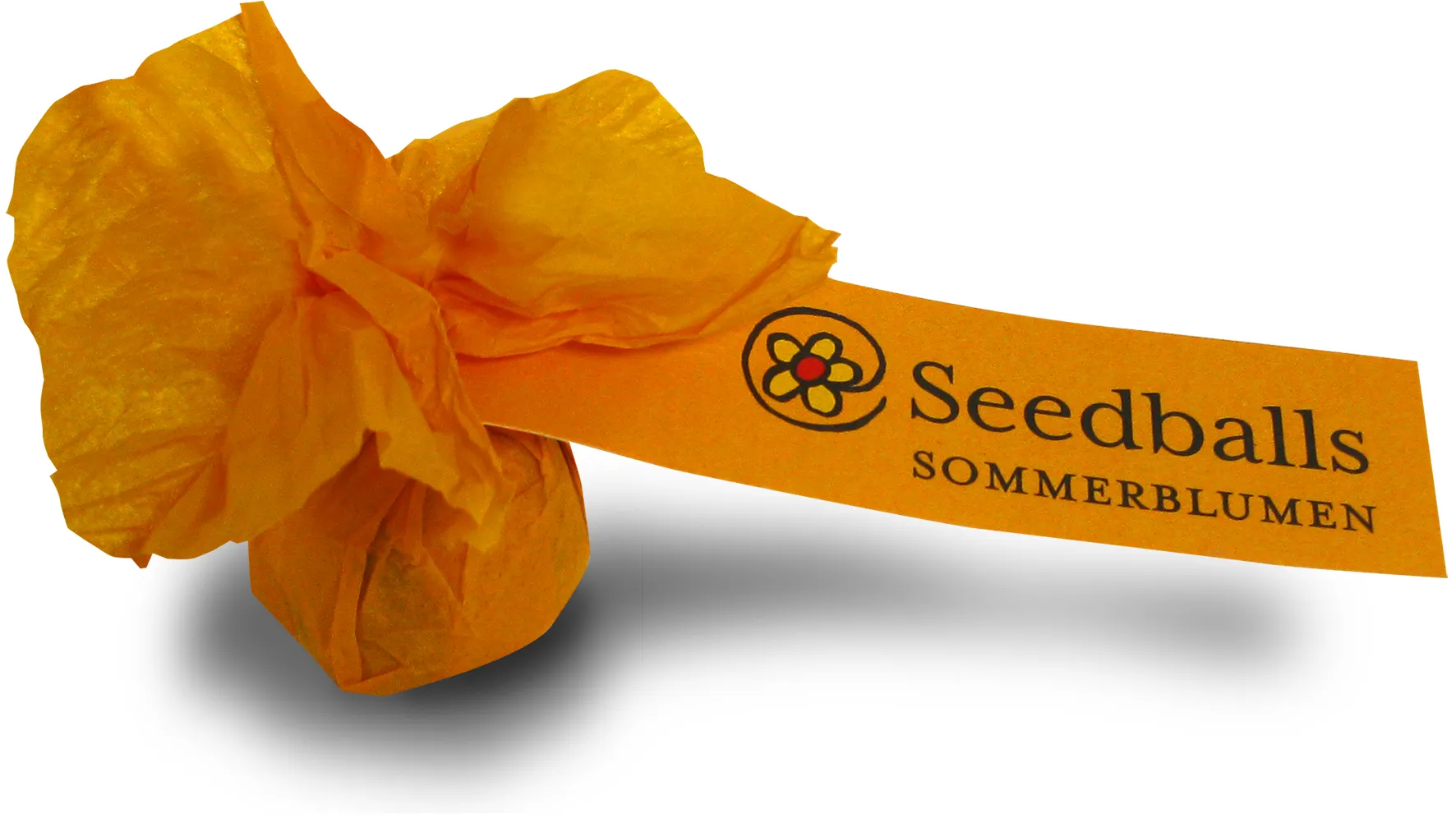 Seedballs Sommerblumenmischung (1 Stk.)